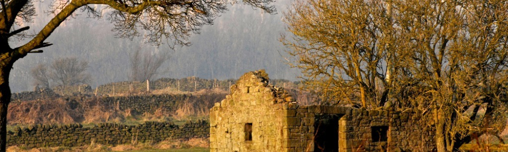 Ruin by Paul Yorke
